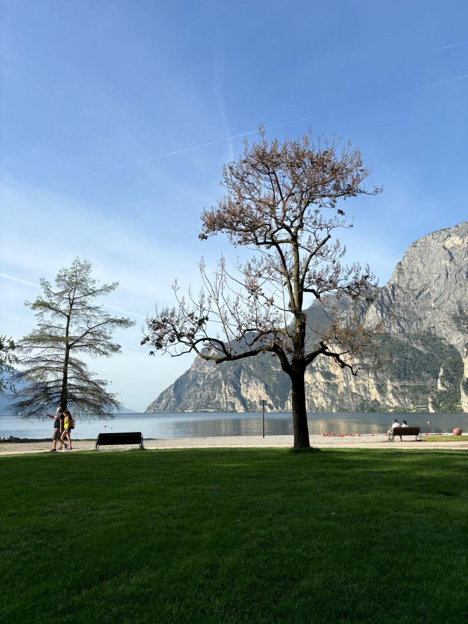 Apartmán Garden & Pool Perugini Torbole Sul Garda Exteriér fotografie